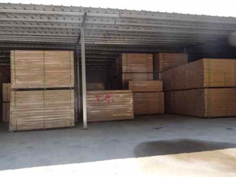 體育場館鋪裝運動木地板，結構及施工流程復雜