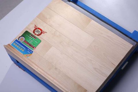 校企共贏，運(yùn)動(dòng)木地板產(chǎn)業(yè)新行標(biāo)