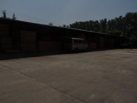 “中華杯”十佳運(yùn)動(dòng)木地板品牌盛大來(lái)襲