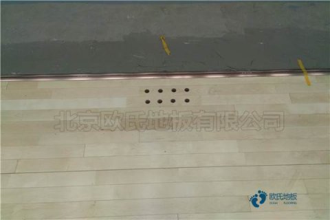 運動木地板的穩(wěn)定神器彈性膠墊