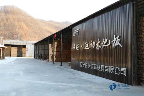 運動木地板面板材質(zhì)和質(zhì)量您清楚嗎