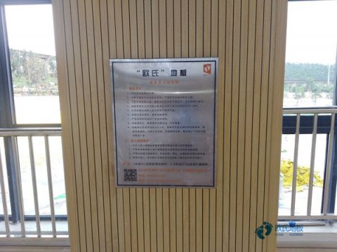 體育運(yùn)動(dòng)木地板翻新保養(yǎng)知識(shí)