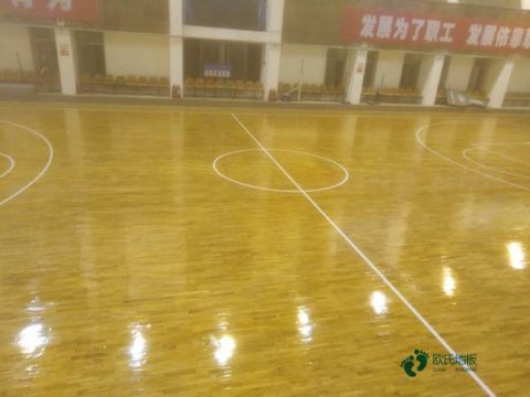 運動木地板行業(yè)品牌