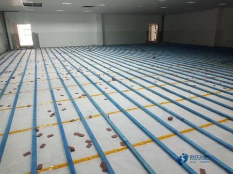體育運(yùn)動(dòng)木地板品牌大全